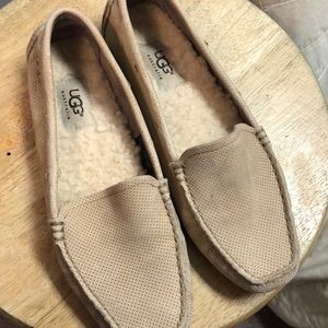 Suede Ugg loafer